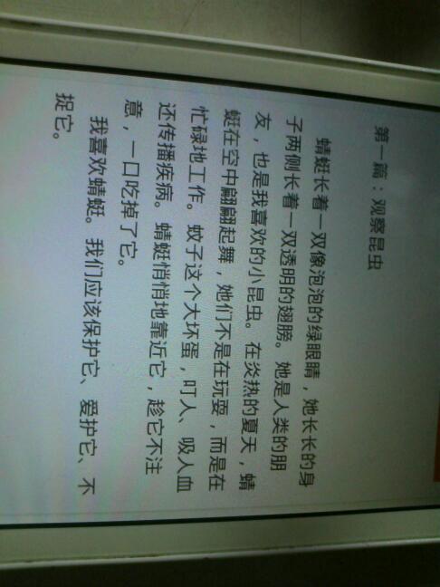 关于写昆虫的作文