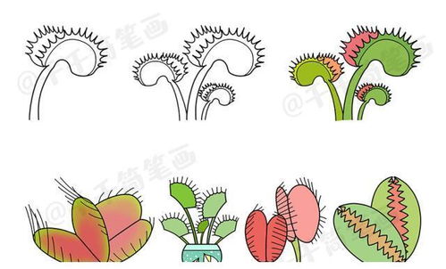 幼儿园花花草草简笔画，花花草草简笔画手抄报