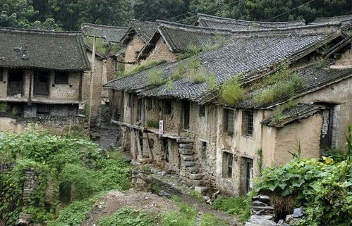 修葺的意思是什么