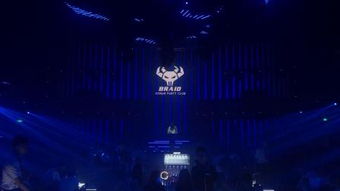 braid是什么意思