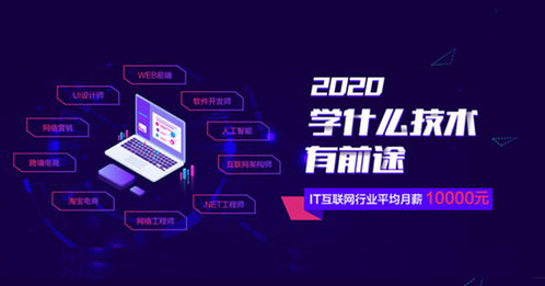 现在学什么好?，现在学什么比较有用