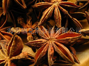 aniseed是什么意思，阿尼色弗与保罗的关系