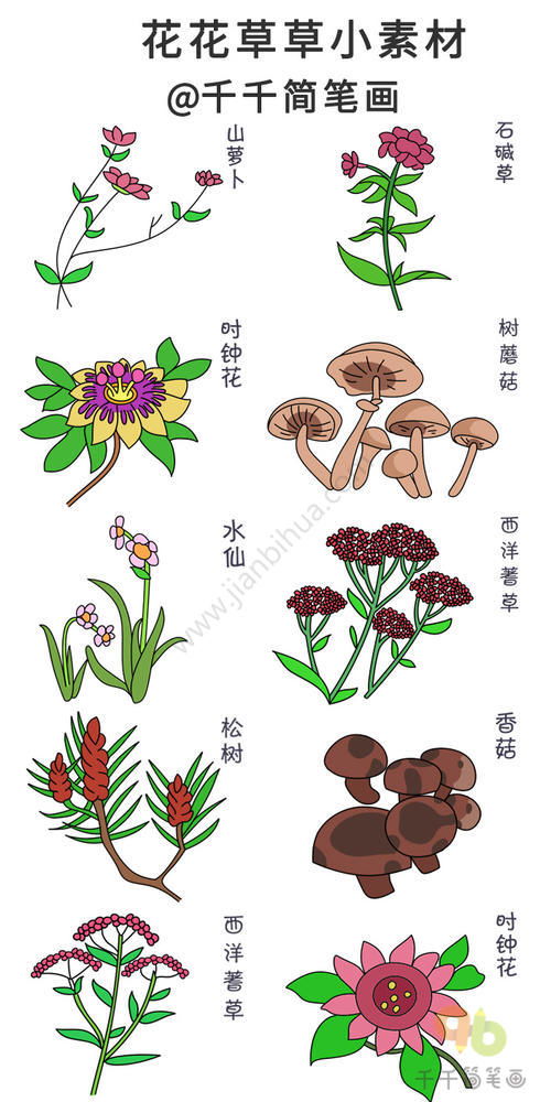 绘制自然风景插画的步骤-大自然怎么画