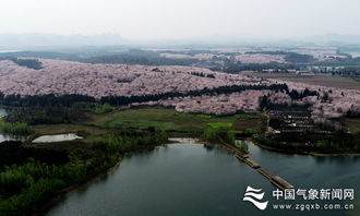平坝属于哪个市