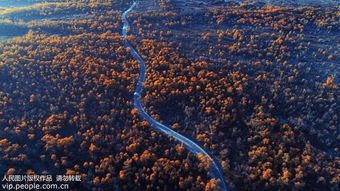 轮台县属于哪个市