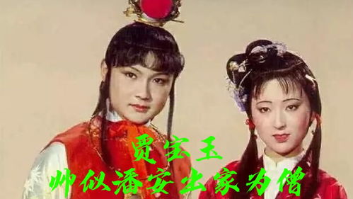 红楼梦主人公简介，红楼梦主人公评价