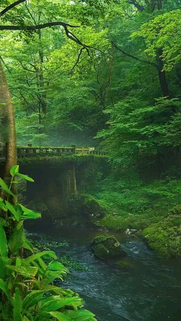 隐居十万年后代请我出山漫画免费，隐居十万年漫画免费观看全集下载