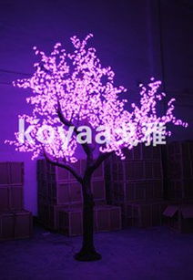 会发光的植物有哪些 盘点五大发光的植物