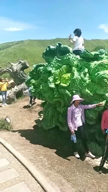 呕尽心血的意思和拼音，呕尽心血是褒义词还是贬义词