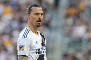 espy是什么意思，esp英语