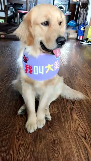 鬼什么虎中间读什么，运动品牌叫鬼什么虎