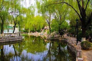 百花公园简介，百花公园公交线路