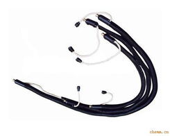 喉管和气管是一起的吗