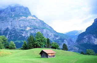 描写春天的词语两个字的有哪些，描写春天的词语两个字大全