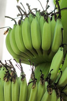 闷的读音，焖的读音和组词