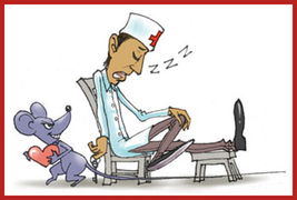 血浆浇花的介绍