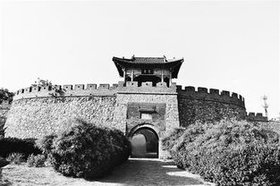 陉怎么读 汉字陉怎么读