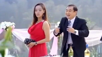 出丑的基本解释