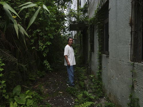 crawls英语怎么读，crawl