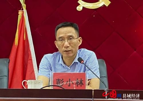 彭小林 西洞庭，彭小林建筑集团