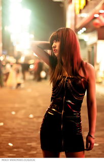 冷夜雨，冷夜宸苏盛夏小说全文阅读