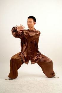 掤的意思，掤的拼音和组词