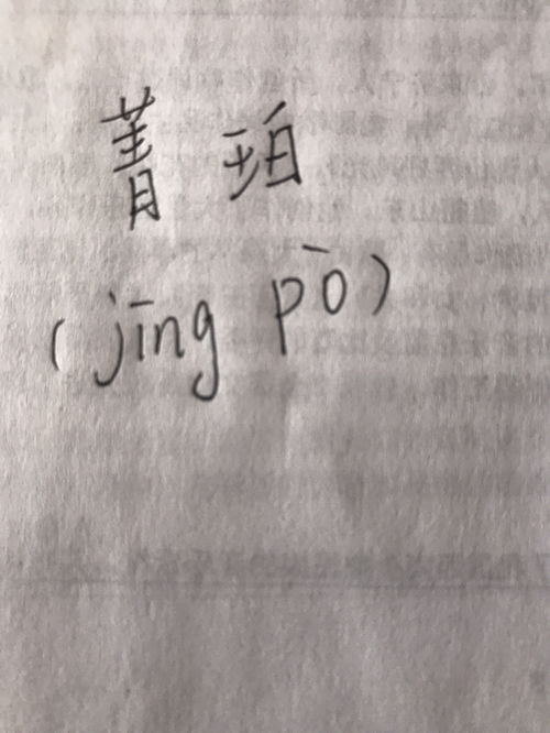 理所当然拼音，碧绿拼音