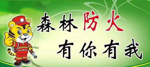 有关森林防火的标语