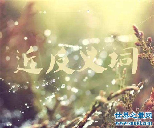 感动的反义词和近义词，感动的反义词有哪些