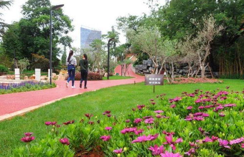 百花公园流浪猫有没有处喝水的地方啊