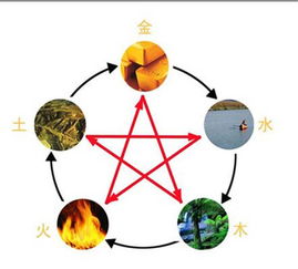 五行属木的字有哪些