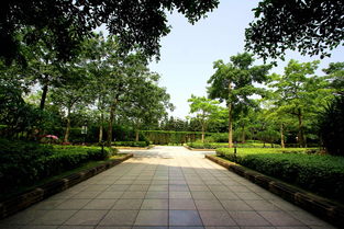 2022年春季福州赏花地点及最佳观赏时间