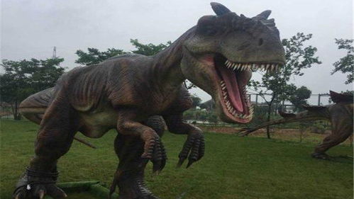 恐龙的灭绝是生物学家们一直感兴趣，恐龙的灭绝过程