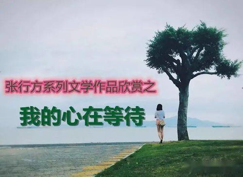 我的心在等待永远在等待是什么歌，我的心在等待原唱是谁