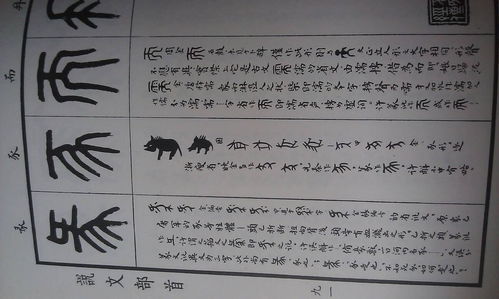 不足为训的意思和造句