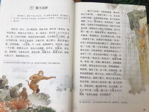 如何充分利用时间阅读名著的方法，阅读名著的方法有哪些六年级