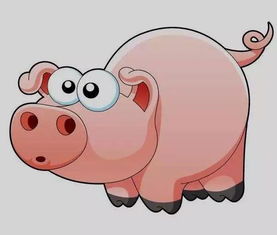 一龙一猪打出一个生肖，一龙一猪的意思解释