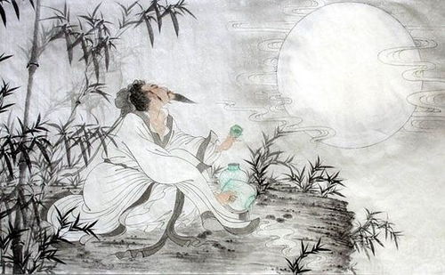 关于苏轼的作文600字，关于苏轼的作文800字