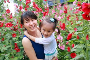 槿的组词大全(约50个) 槿的词语解释_槿是什么意思?