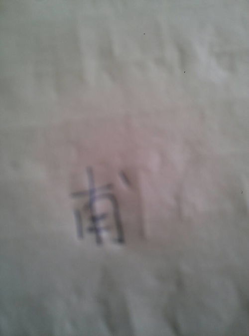 赭怎么读，赭石怎么读 字词