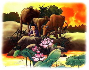 王冕僧寺夜读翻译简单，王冕僧寺夜读翻译及重点词翻译