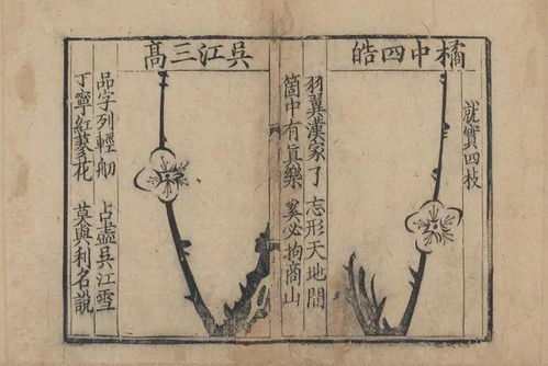 倾囊而出的近义词和反义词，倾囊而出造句