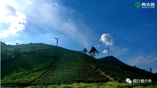 东白山属于哪个市，东白山露营攻略