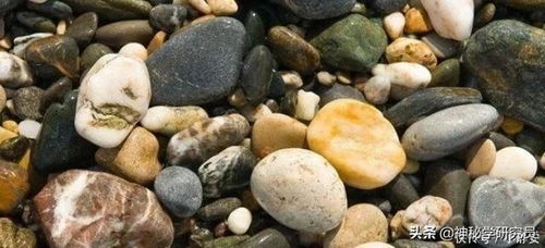 白色石头是什么石头?
