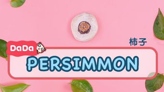 尺子的英语单词，柿子的英语是什么