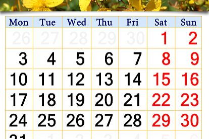 农历开市是什么意思，红盘开市是什么意思