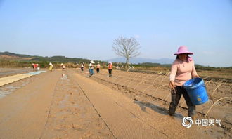 扶贫调研报告怎么写