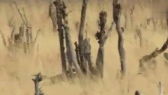 赫赫有名的意思，赫赫扬扬的意思