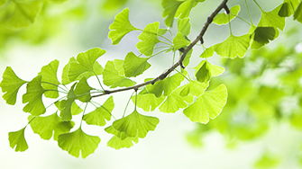 鬛狗怎么念，鬖字意思是