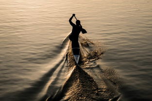 激流勇进不进则退的意思，雪如逆水行舟不进则退的意思
